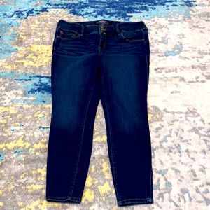 EUC Torrid Size 16R Premium Stretch Skinny Jeans Jegging Plus Size